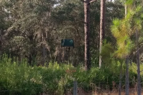 Upper Hillsborough Preserve ~ Alston Tract