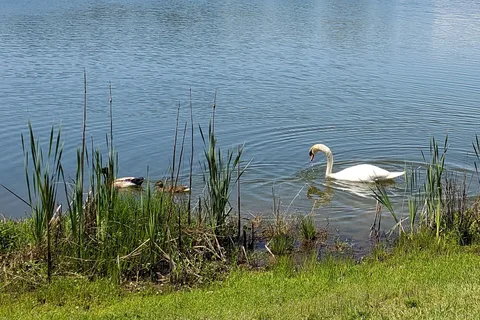 Lakeside RV Resort
