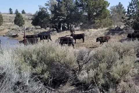 Sundance Meadows Ownership Sites