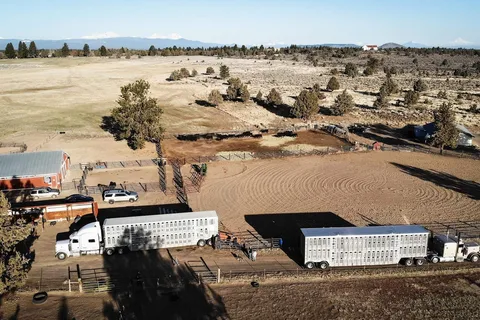 Sundance Meadows Ownership Sites
