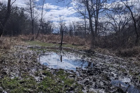 Richard Bong State Recreation Area