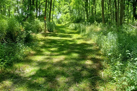 Richard Bong State Recreation Area