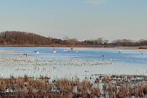 Richard Bong State Recreation Area
