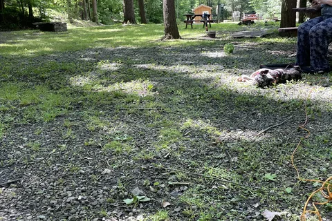 Shady Rest Campground