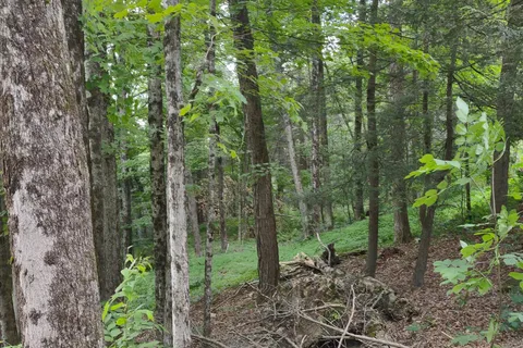 Shady Rest Campground