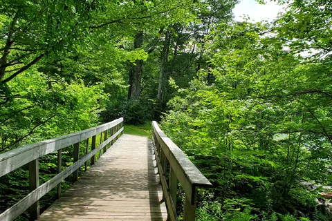 Woodford State Park