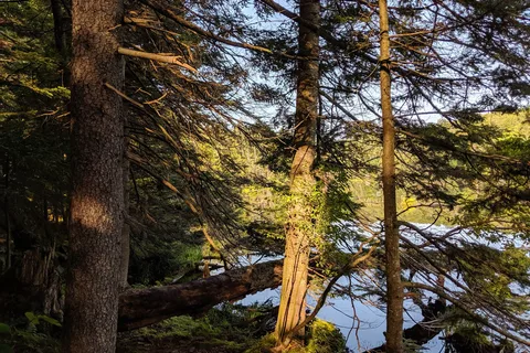 Woodford State Park