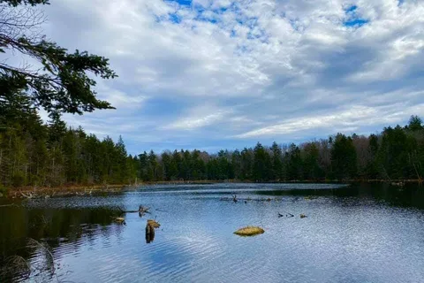 Woodford State Park