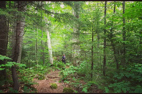Woodford State Park