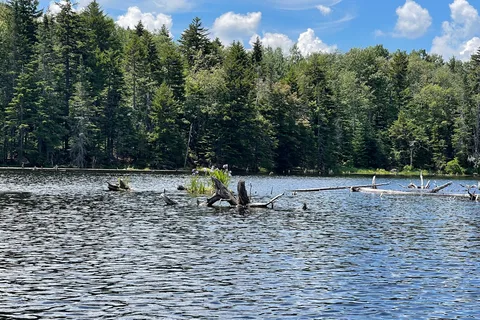 Woodford State Park