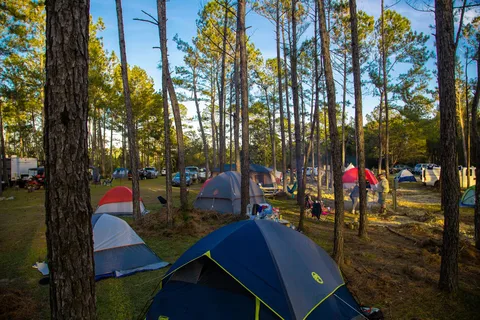 Yogi Bear's Jellystone Park™ Camp-Resort: Alabama Gulf Coast