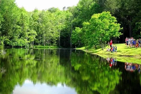 Yogi Bear's Jellystone Park™ Camp-Resort: Alabama Gulf Coast