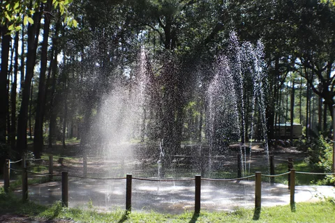 Yogi Bear's Jellystone Park™ Camp-Resort: Alabama Gulf Coast