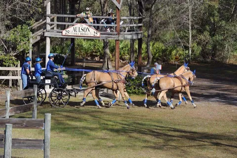 Black Prong Equestrian Center