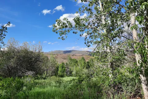 Mchenry Creek Campground - Jordanelle State Park