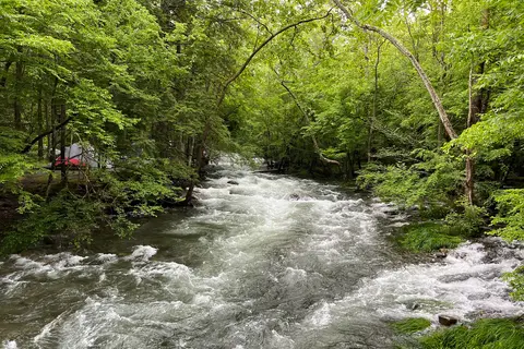 Elkmont Campground - Great Smoky Mountains National Park