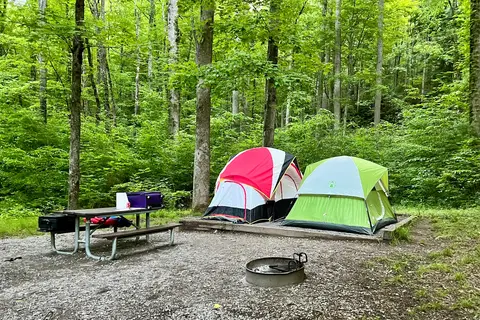 Elkmont Campground - Great Smoky Mountains National Park