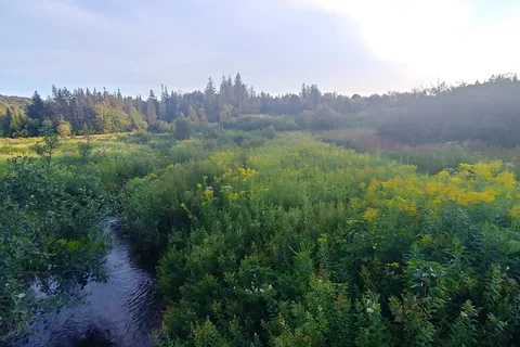 Greenwood Lodge and Campsites