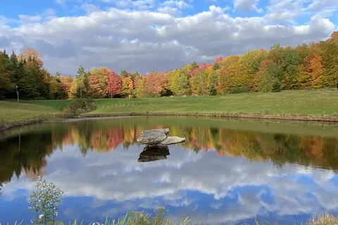 Greenwood Lodge and Campsites