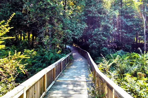 Yogi Bear’s Jellystone Park™ Camp-Resort: Lake Huron