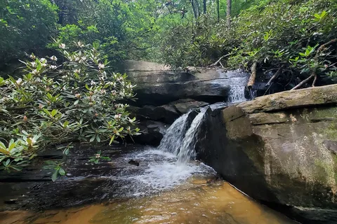Keowee-Toxaway State Natural Area