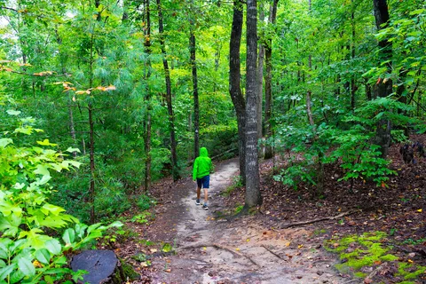 Keowee-Toxaway State Natural Area