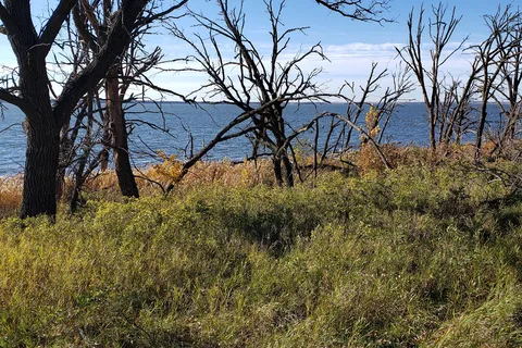 Grahams Island State Park