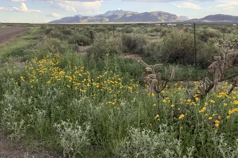 Wolf RV Resort