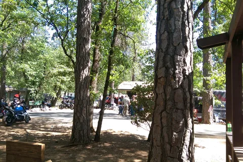 Lakehead Campground and RV Park