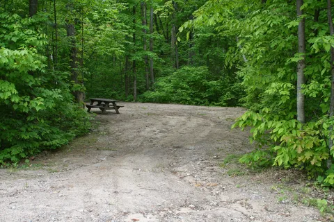 Trailside Park