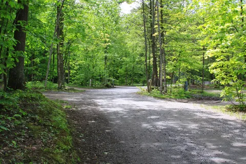 Trailside Park