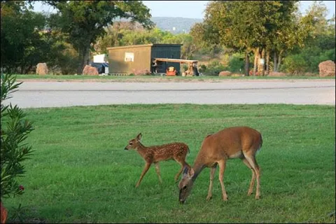 Lake Buchanan RV and Cabin Resort