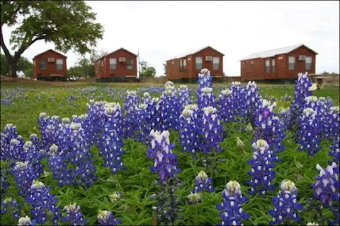 Lake Buchanan RV and Cabin Resort