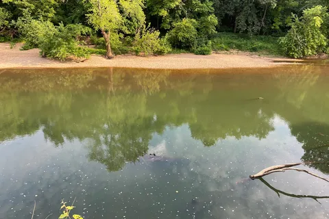 Gasconade Hills Resort