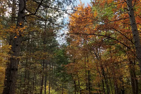 Twin Oaks RV Campground and Cabins