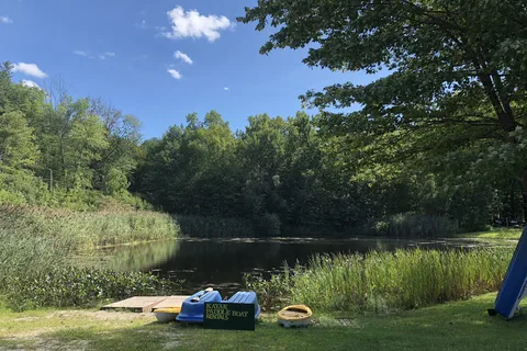 White Pines Campsites