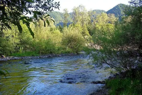 Oakridge RV Park and Tents