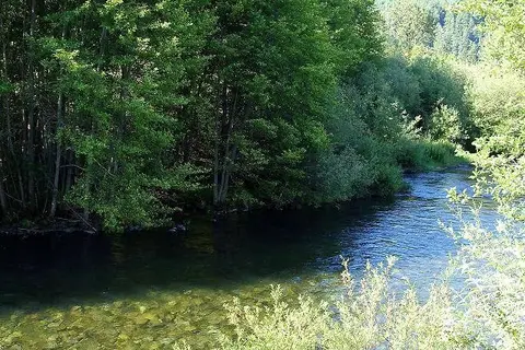 Oakridge RV Park and Tents