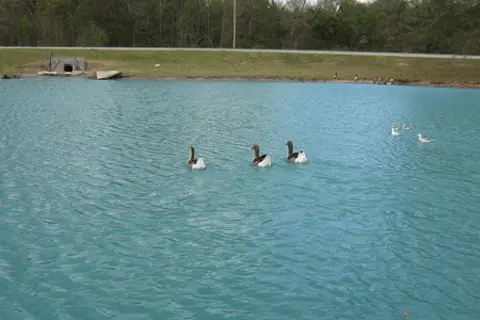 Albany RV Resort Inc