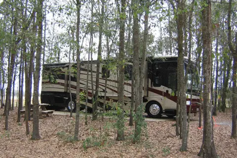 Albany RV Resort Inc
