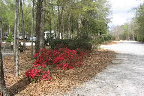 Albany RV Resort Inc