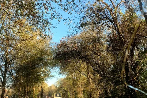 Teserra RV Park