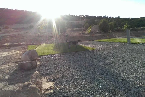 BNB Swiss , Bed and Breakfast, RV Park