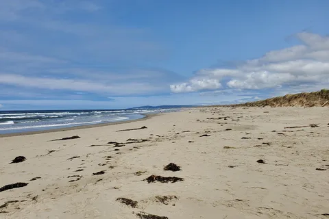 Bullards Beach State Park