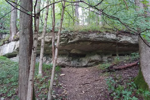 Horsemens Electric - O Bannon Woods State Park