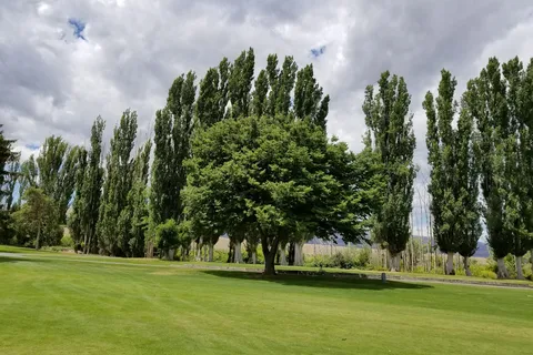 Crescent Bar Recreation Area Campground