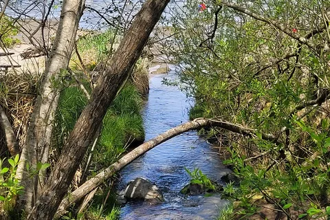 Dash Point State Park