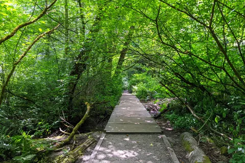 Dash Point State Park