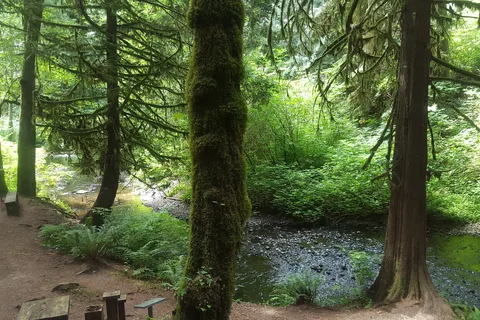 Port Ludlow RV Park
