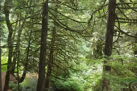 Port Ludlow RV Park